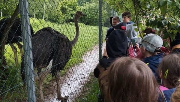 Výlet do ZOO Na Hrádečku 