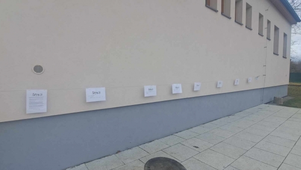 Masopustní tajenka