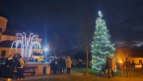 Svítí! Kdo? Vánoční stromeček...