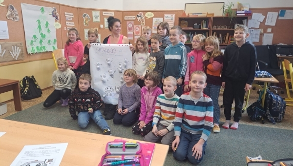 Mezitřídní spolupráce