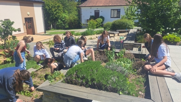 Pracovní činnosti na Dešťové zahradě