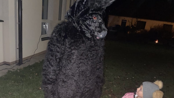 Halloween v Domečku