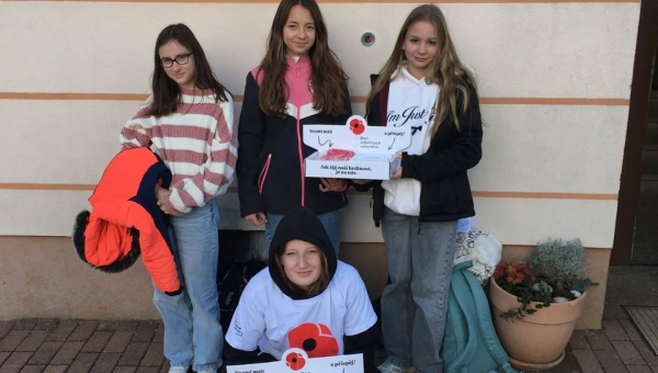 Sbírka ke Dnu válečných veteránů