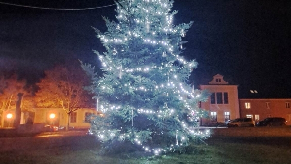 Rozsvícení vánočního stromu