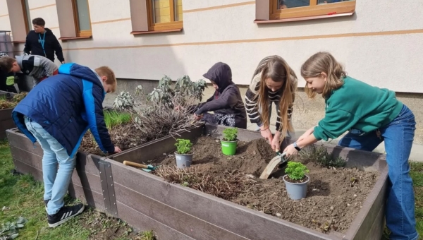 Bylinková zahrádka se probouzí